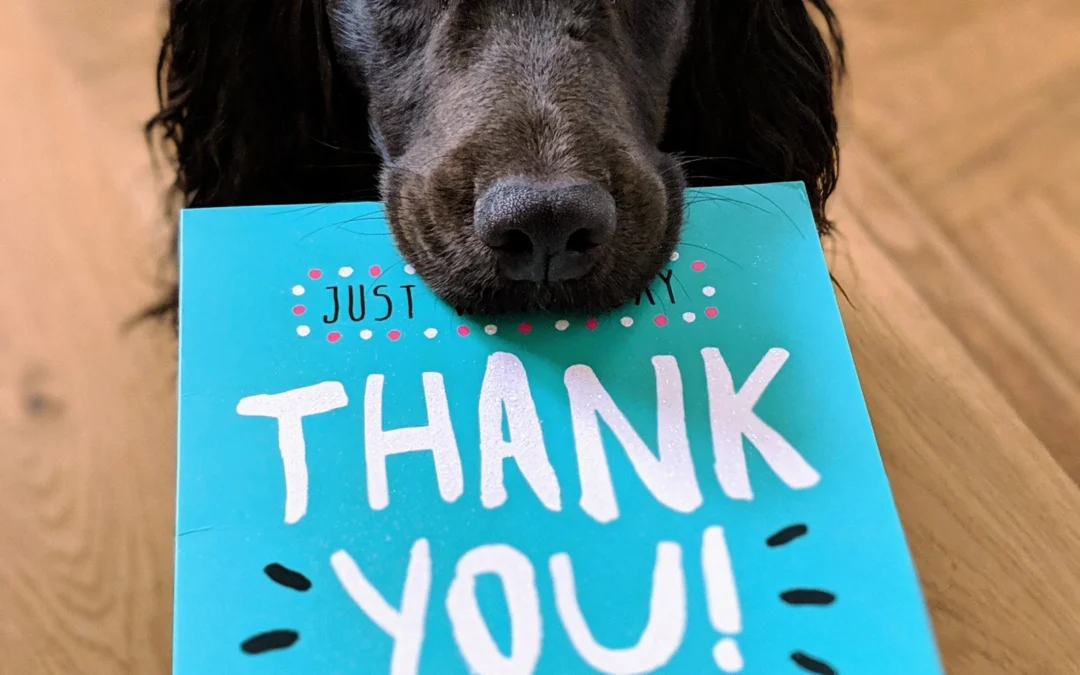 ¡Es tiempo de ser apreciativos! Trayendo la comprensión, gratitud y apreciación al trabajo