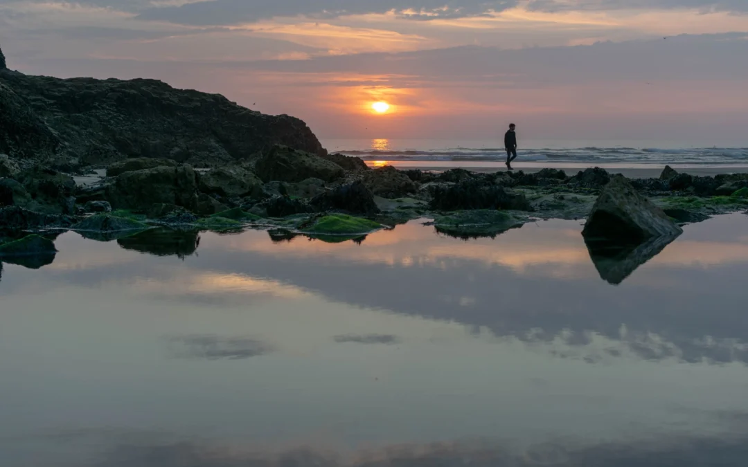 FE, el arte de vivir sin parpadear.