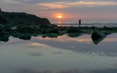 FE, el arte de vivir sin parpadear.